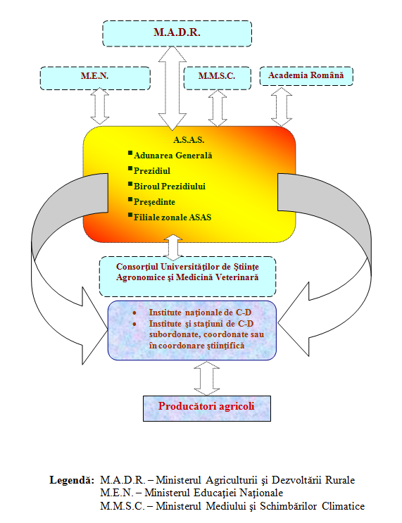 organigrama asas.png