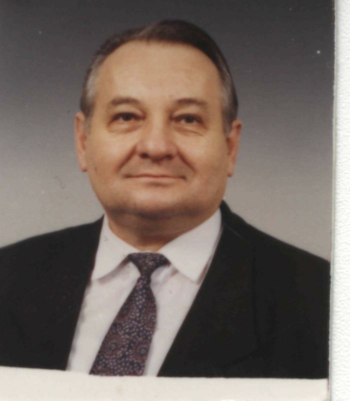 Prof. Alexandru BOGDAN